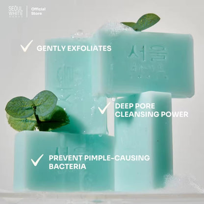 Seoul White Bye Bye Acne Soap 60g x2 | Savon Purifiant Anti-Imperfections – Lot de 2
